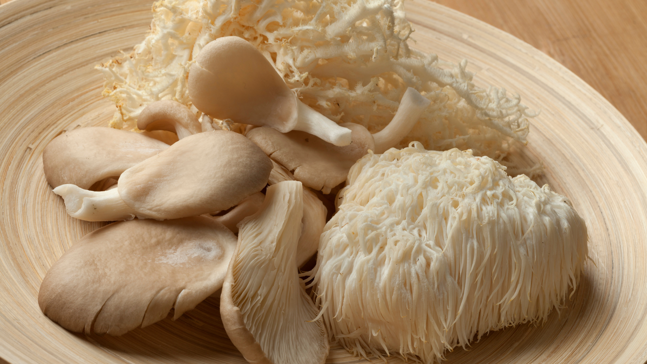 Complete Guide to Functional Mushrooms