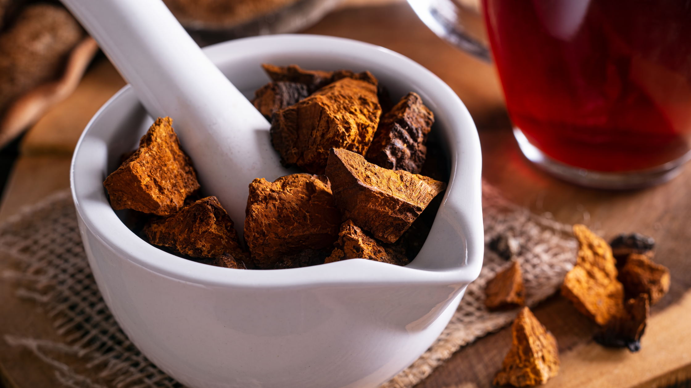 What Is Chaga? Exploring the Benefits of Chaga Powder and Capsules